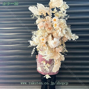 1000~OFFN[|  VNt[ O lHϗtA t[AWg  { ډB p [̗ N₩ ׍HJ i` Iȑ ͂Ȃ 