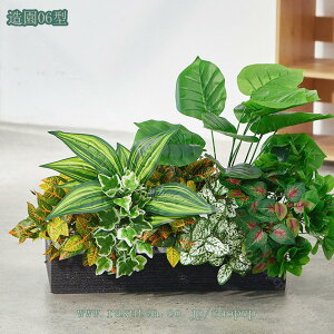 tFCNO[ lHϗtA  AȊO tFCNt[ i`  IV Iȑ  i| CeA rO  O X z[ x_ {