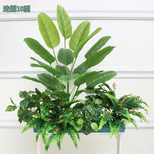 1000~OFFN[|  lH ̉ lHϗtA  ԏ CeA ͂Ȃ Xܑ v|[Y   EGfBO FȂ p[eB[p tFCNA