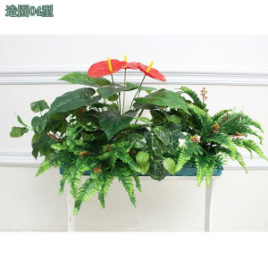 1000~OFFN[|  lH ̉ lHϗtA  ԏ CeA ͂Ȃ Xܑ v|[Y   EGfBO FȂ p[eB[p tFCNA