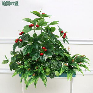 2000~OFFN[|  lH ̉ lHϗtA  ԏ CeA ͂Ȃ Xܑ v|[Y   EGfBO FȂ p[eB[p tFCNA