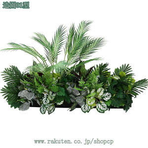 2000~OFFN[| tFCNO[ ^ lHϗtA ItBX  CeA  O X ~͐A ϗtA lHϗtA i` lHϗtA RŃA Ύ s