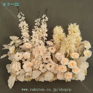 lHϗtA t[AWg { tFCNO[  Iȑ  R͋̕C  i| CeA i`͋C tFCNO[ ډB N