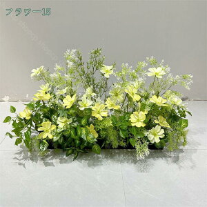 2000~OFFN[| VNt[  lHϗtA t[AWg {  Iȑ  R͋̕C  i| CeA i`͋C ډB N