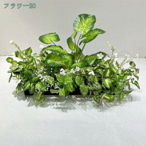 2000~OFFN[| VNt[  lHϗtA t[AWg {  Iȑ  R͋̕C  i| CeA i`͋C ډB N