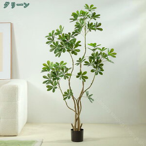 1000~OFFN[| VFt tFCNO[ ϗtA  A tFCN  nC gsJ lH ^ CeA  X lHϗtA JXj Vzj  It