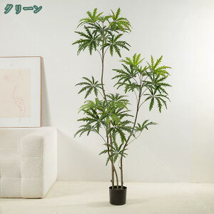 1000~OFFN[| lHϗt xW~ tFCNO[ ^ lHϗtA lH rO[ ze _ȑ A lHA  CeA    SݓX 