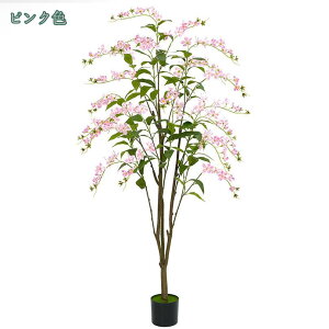 1000~OFFN[| lHϗtA ϗt tFCNO[  K̖ 仂̖ K̖  ItBX AA ȒP sv Q̐SzȂ ^ { Ce