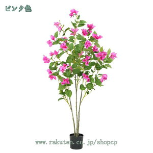 1000~OFFN[| tFCNO[ K̖ u[QrA ^ ϗtA tFCN lHA Mtg 蕨  lHϗtA A ȒP sv QSzȂ Vv 