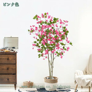 1000~OFFN[| tFCNO[ K̖ u[QrA ^ ϗtA tFCN lHA Mtg 蕨  lHϗtA A ȒP sv QSzȂ Vv 