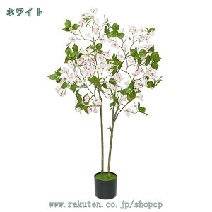 1000~OFFN[| tFCNO[ K̖ u[QrA ^ ϗtA tFCN lHA Mtg 蕨  lHϗtA A ȒP sv QSzȂ Vv 