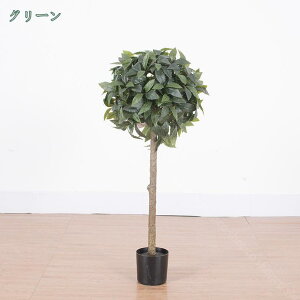 1000~OFFN[| QbPCW ϗt tFCNO[ ^ ϗtA tFCN A  CeA lHϗtA  ^ sv ϏܐA   fR[V X G