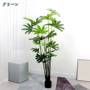 1000~OFFN[| xW~ ϗt tFCNO[ ^ ϗtA tFCN A  CeA lHϗtA  ^ sv ϏܐA   fR[V X G