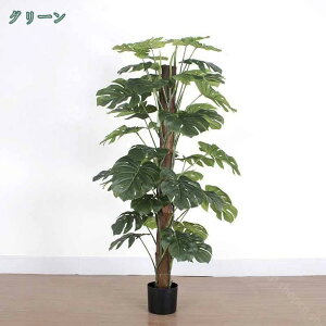 1000~OFFN[| Xe ϗt tFCNO[ ^ ϗtA tFCN A  CeA lHϗtA  ^ sv ϏܐA   fR[V X Gg