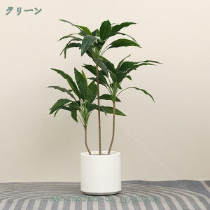 1000~OFFN[| K̖  tFCNO[ ϗtA tFCN lHϗtA t   A JtF  rO Lb` CeA A 킢 i` lH