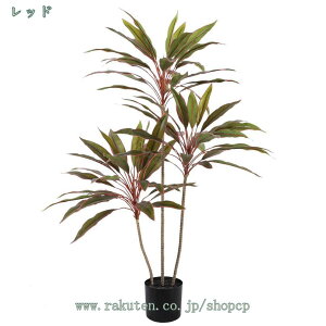 1000~OFFN[| K̖  tFCNO[ ϗtA tFCN lHϗtA t   A JtF  rO Lb` CeA A 킢 i` lH