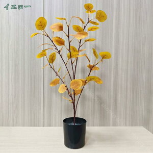 1000~OFFN[| ͂Ȃ[J lHϗtA tFCNO[ A 1{ ^ lHA  CeA  j Mtg v[g JXj Vzj aj z