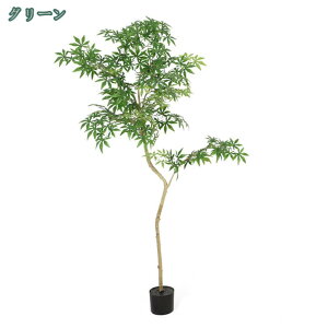 1000~OFFN[| tFCNO[ JGf̖  lH ϗtAtFCN lHA ͂Ȃ  CeA lHϗt ̂Ȃ b炸 sv  ItBX z[ z