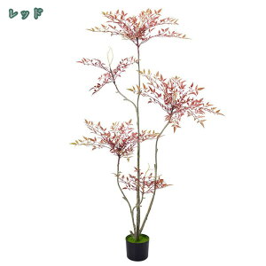 2000~OFFN[| lHϗtA lH|̖  lHϗt tFCNO[ a ԕ/̐SzȂ sv AȎ}t }̊px\ ItBX JX Vzj ItBX r