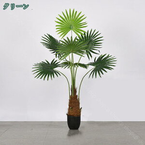 1000~OFFN[| tFCNO[ V̖ lH ϗtAtFCN lHA ͂Ȃ  CeA lHϗt ̂Ȃ b炸 sv  ItBX z[ ze f