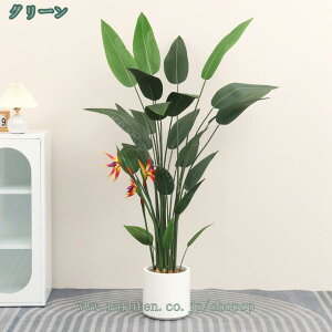 1000~OFFN[| tFCNO[ ϗA lHϗt ϗtA  A sv ԕE̐SzȂ  Vv ItBX  CeA ^ Vzj  lH 