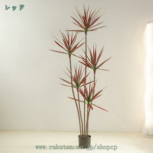 tFCNO[ CeAO[ hZi ϗt lH ϗtA tFCN A  CeA ₷ sv Q쏜sv  ƒ ItBX  j Mtg 