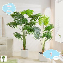 楽天市場】ハワイアン 雑貨 インテリア（人工観葉植物｜造花・人工観葉 