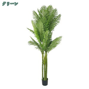 1000~OFFN[| lHϗtA AJV tFCNO[ ^ CeAO[ rO ItBX   K̖ ̂Ȃ b炸 sv sv  