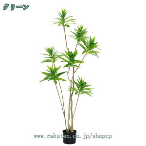 K̖ tFCNO[ ^ 傫 sv ϗtAȒP  b炸 ͂Ȃ IV lH tFCN lHϗtA A CeA K̖ A JXj