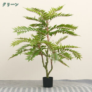 1000~OFFN[| ւ̖ tFCNO[ ^ 傫 sv ϗtAȒP  b炸 ͂Ȃ IV lH tFCN lHϗtA A CeA ւ̖ 