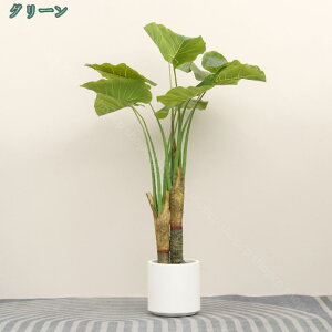 1000~OFFN[| lHϗtA NYC tFCNO[ ^ CeAO[ rO ItBX   K̖ ̂Ȃ b炸 sv sv  