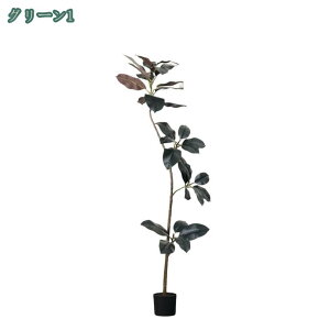 1000~OFFN[| lHϗtA S̖ tFCNO[ ^  CeA  b炸 a  sv ͂Ȃ lH tFCNA ϗt Q̐SzȂ {