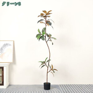 2000~OFFN[| lHϗtA S̖ tFCNO[ ^  CeA  b炸 a  sv ͂Ȃ lH tFCNA ϗt Q̐SzȂ {