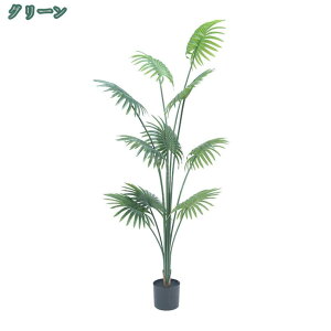 lHϗtA V̖ tFCNO[ ^  CeA  b炸 a  sv ͂Ȃ lH tFCNA ϗt Q̐SzȂ { l