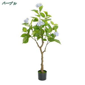 lHϗtA ^ K̖ zԂ̖  ϗt 엿͕Kv܂ CeAO[ 傫 rO ItBX   A   X GgX c 