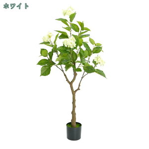 2000~OFFN[| lHϗtA ^ K̖ zԂ̖  ϗt 엿͕Kv܂ CeAO[ 傫 rO ItBX   A   X Gg