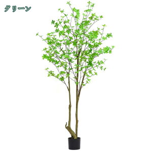 lHϗtA ^ K̖ n AZr  ϗt 엿͕Kv܂ CeAO[ 傫 rO ItBX   A   X GgX c