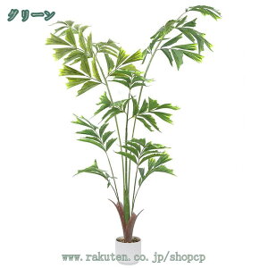 1000~OFFN[| tFCNO[ ϗtA lH K̖ AJV  CeA OlOlȂ  lHA   sv 蕨 Mtg ̓ ̓ v[