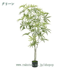 tFCNO[ ^ lHϗt A ϗA lHA  K̖ xW~ ϗtA tFCN ItBX rO   O j  lHϗtA 傫 {