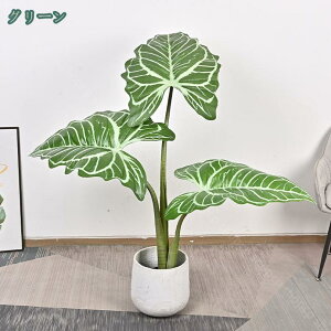  tA tFCNO[ ƊȂ lHtA NYC  傫 sv ȒP Vv ꑕ ItBX  CeA ^ lH A l