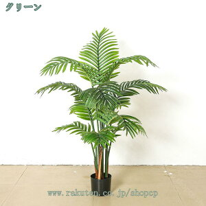 1000~OFFN[| AJV lHϗtA CeA ϏܐA {   CeA Mtg v[g j tFCNO[ p  Vv ItBX  