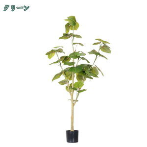  K̖ Ex[^ a tFCNO[ tFCNA    rO  t t ϗtA CeAO[ ^ lH   A lHϗt 