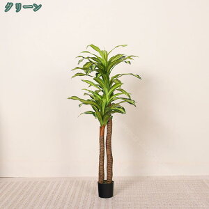 1000~OFFN[| tFCNO[ CeA K̖ hZi lH ϗtA    sv ͂Ȃ QȂ { a rO  A K