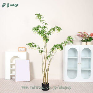 1000~OFFN[| K̖ Ύ tFCNO[ ^  Vv ϗtA tFCNA lHϗtA lHϗt A ItBX  傫 CeA  rO ItBX 