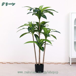 1000~OFFN[| tFCNO[ CeA K̖ hZi lH ϗtA    sv ͂Ȃ QȂ { a rO  A K