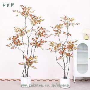 1000~OFFN[| tFCNO[ ^ K̖ | ou[c[  { ϗtA CeA  sv ͂Ȃ  j v[g Mtg A ~͐A A