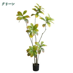 KW} lHϗtA CeA ϏܐA {   CeA Mtg v[g j tFCNO[ p  Vv ItBX  O ^ lH~