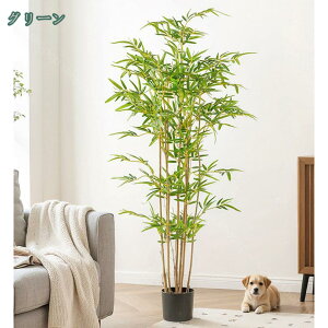 lH|̖ ou[ lHϗtA CeA ϏܐA {   CeA Mtg v[g j tFCNO[ p  Vv ItBX  O ^