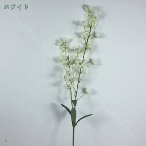 10 ԉԑ XY  ͂Ȃ 闖 tFCNt[ VN ԑ k  Vv   NX}X t[AWg ʐ^Be JXj a C