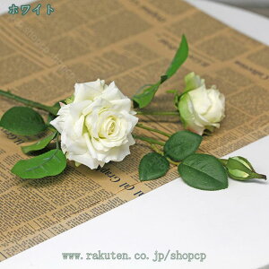 300~OFFN[|  o sN 3Zbg KN [Y ԑ CeA  u[P VNt[ v[g a EFfBOu[P ͂Ȃ A[gt[  Be